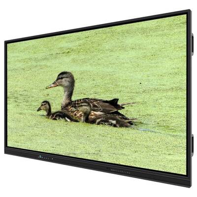 75 ιντσών Όλα σε ένα Διαδραστικό λευκό πίνακα έξυπνα πίνακα για το γραφείο του σχολείου Συνεδρίαση