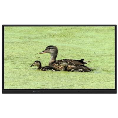 Διαδραστικός Διαδραστικός Πίνακας 65 ιντσών All In One με αποθήκευση 8+128G και υπέρυθρη αφή για διδασκαλία και συσκέψεις