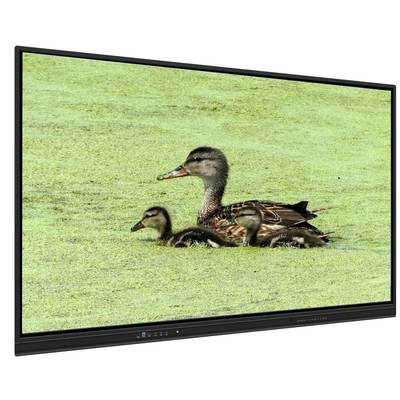 Διαδραστικός Διαδραστικός Πίνακας 65 ιντσών All In One με αποθήκευση 8+128G και υπέρυθρη αφή για διδασκαλία και συσκέψεις