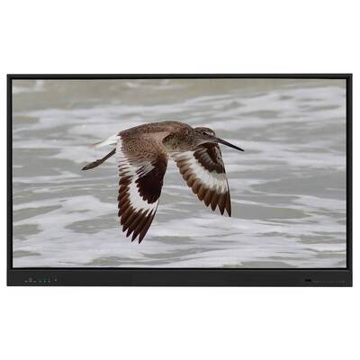 Iboard Διαδραστικό Whiteboard Android 15 EDLA με 65 ιντσών Πίνακα Για ηλεκτρονική μάθηση