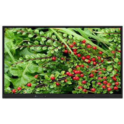 Διαδραστικός πίνακας 75 ιντσών oem με ηχεία για οικιακή διδασκαλία και συσκέψεις Zoom