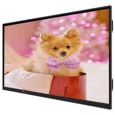 IBoard Touchscreen Interactive Flat Panel with Windows OPS Computer Optional, 1.07 G Color Depth (8bits+FRC), and 350 Cd/m² Brightness for Modern Meeting Rooms