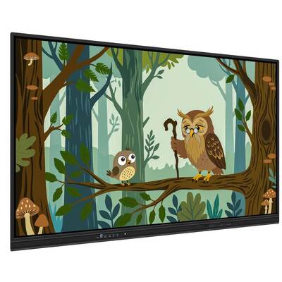75 ιντσών Android 4K LED Διαδραστικός Πίνακας Αφής με USB Προβολή Λευκού Πίνακα